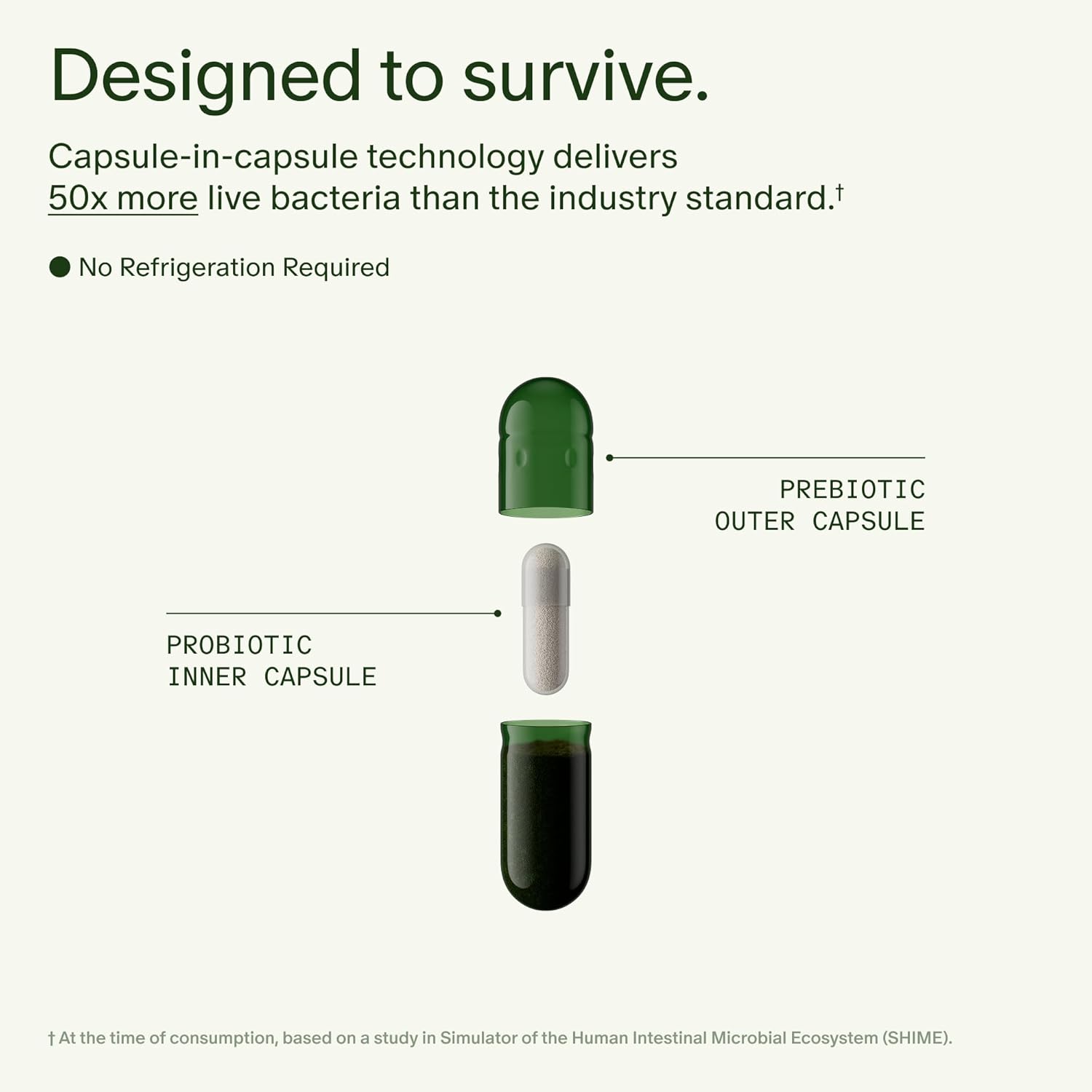 Seed DS-01 Daily Synbiotic - Prebiotic and Probiotic for Women & Men - Digestive Health, Gut Health, Immune Support, Bloating & Constipation Relief - Vegan & Shelf-Stable - 60 Capsules (30-Day Supply)