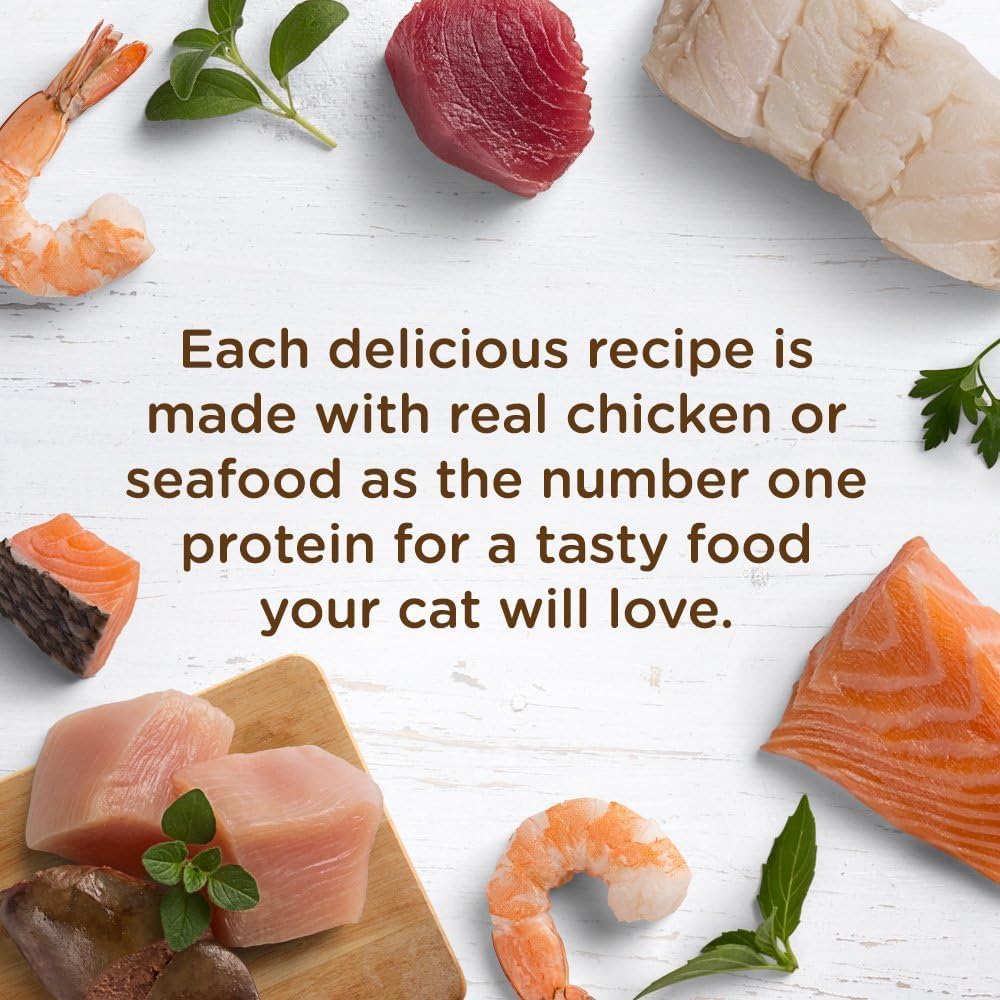 Nutrish Rachael Ray Natural Wet Cat Food, Chicken Lovers Variety Pack, 2.8 Ounce Cup (Pack of 12), Grain Free - Gourmet Chicken & Fish Cat Cuisine™