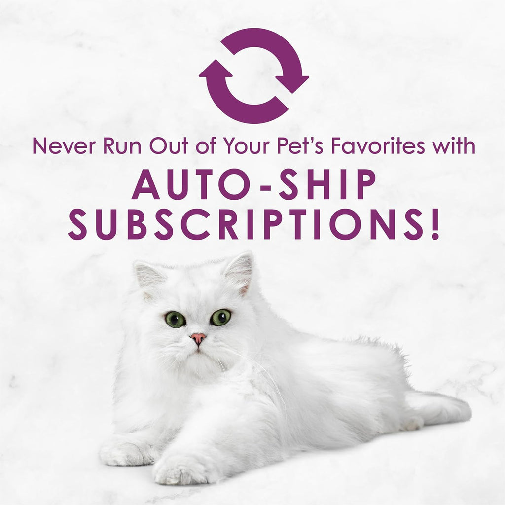 Purina Fancy Feast Savory Centers Wet Cat Food Pate Variety Pack With Chicken, Salmon, Beef, and Tuna Pate with Gravy Center - (2 Packs of 12) 3 oz. Pull-Top Cans