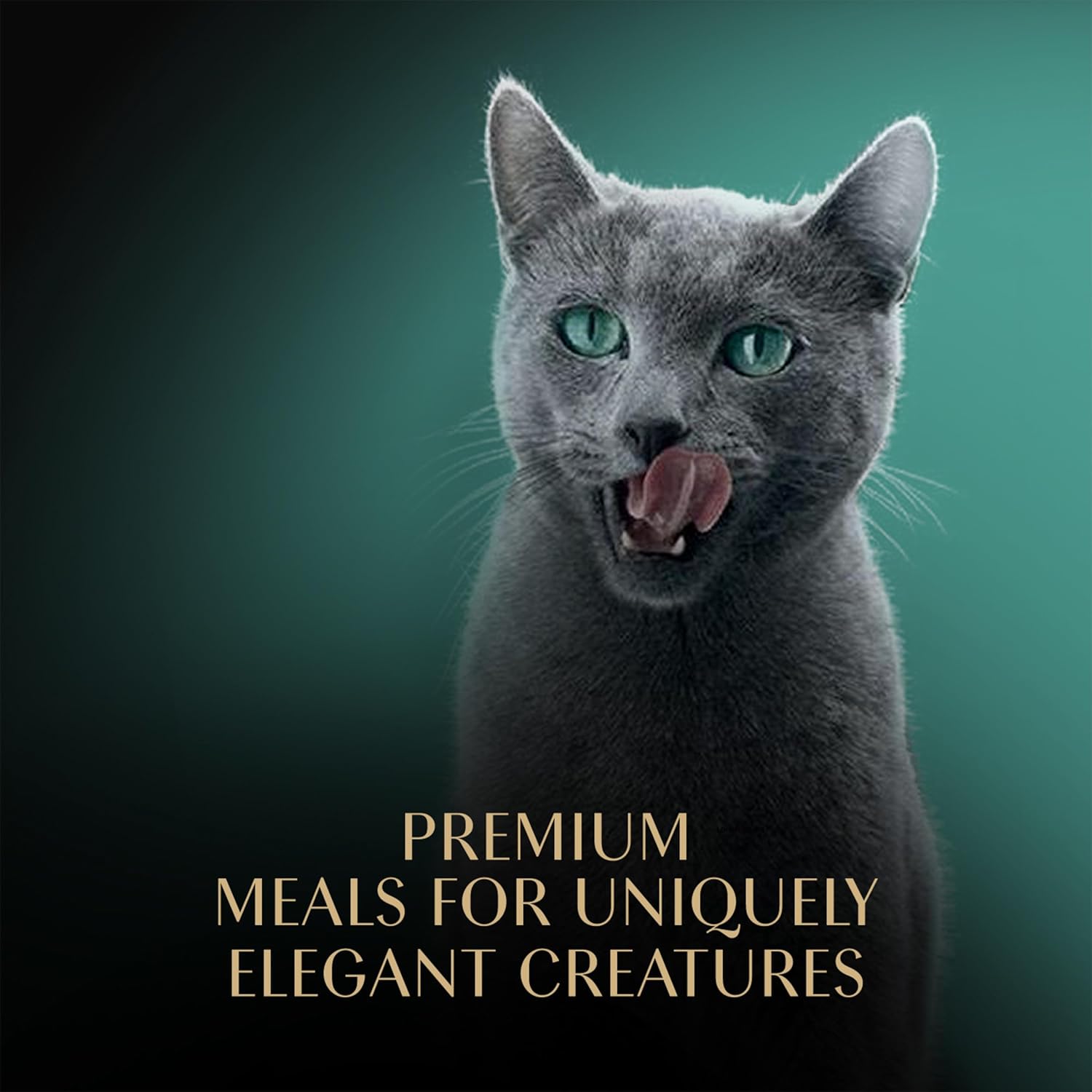 Sheba Perfect Portions Wet Cat Food Cuts in Gravy Variety Pack, Roasted Chicken Entree, with Sustainable Salmon, and Tender Turkey Entree, 2.6 oz. Twin-Pack Trays (24 Count, 48 Servings)