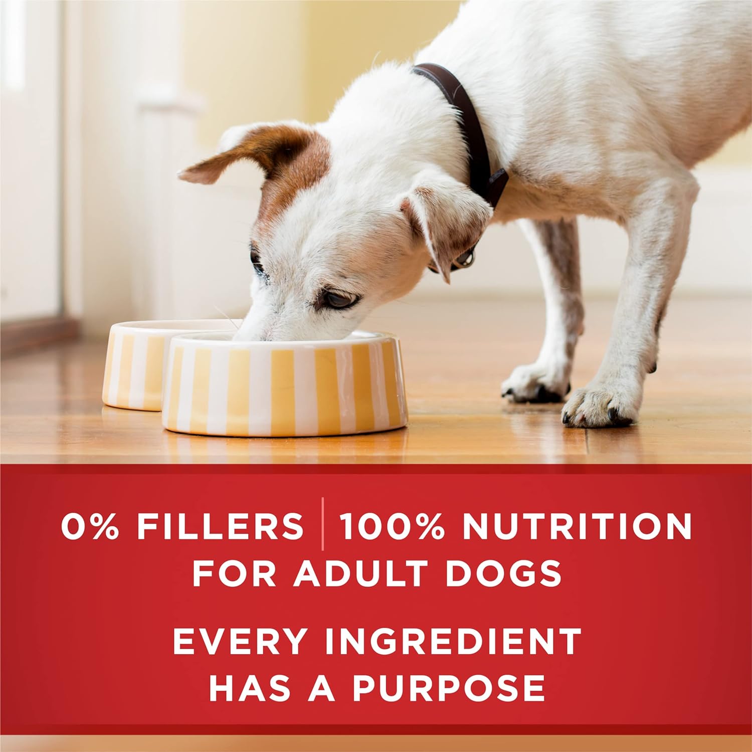 Purina One - Wholesome Dog Food Variety Pack™