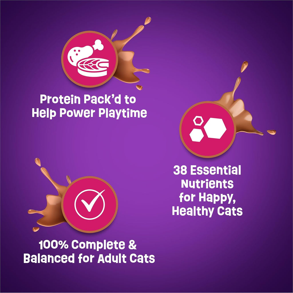 Friskies - Deliciously Savory Cat Food™