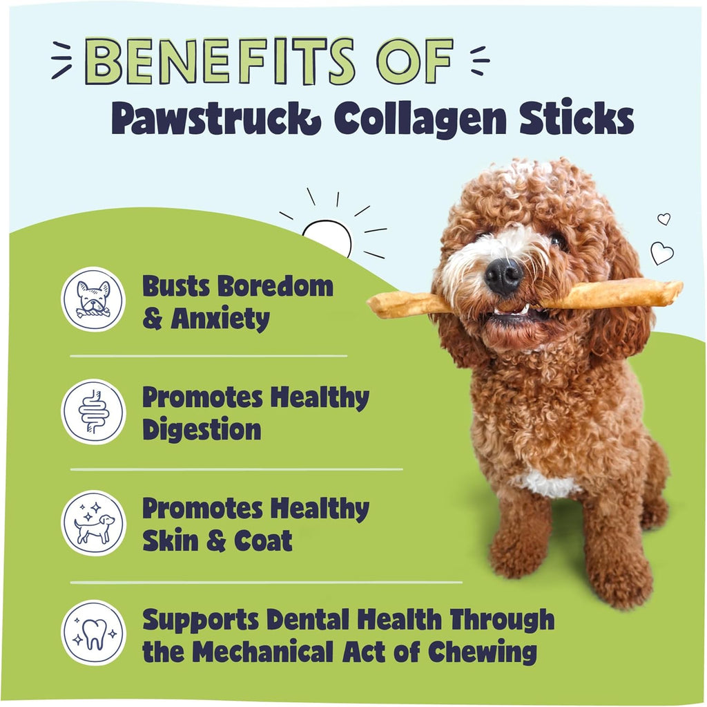 Pawstruck Natural Large 12" Beef Collagen Sticks for Dogs – Long-Lasting Rawhide Alternative, High Protein Treats with Chondroitin & Glucosamine – 5 Pack