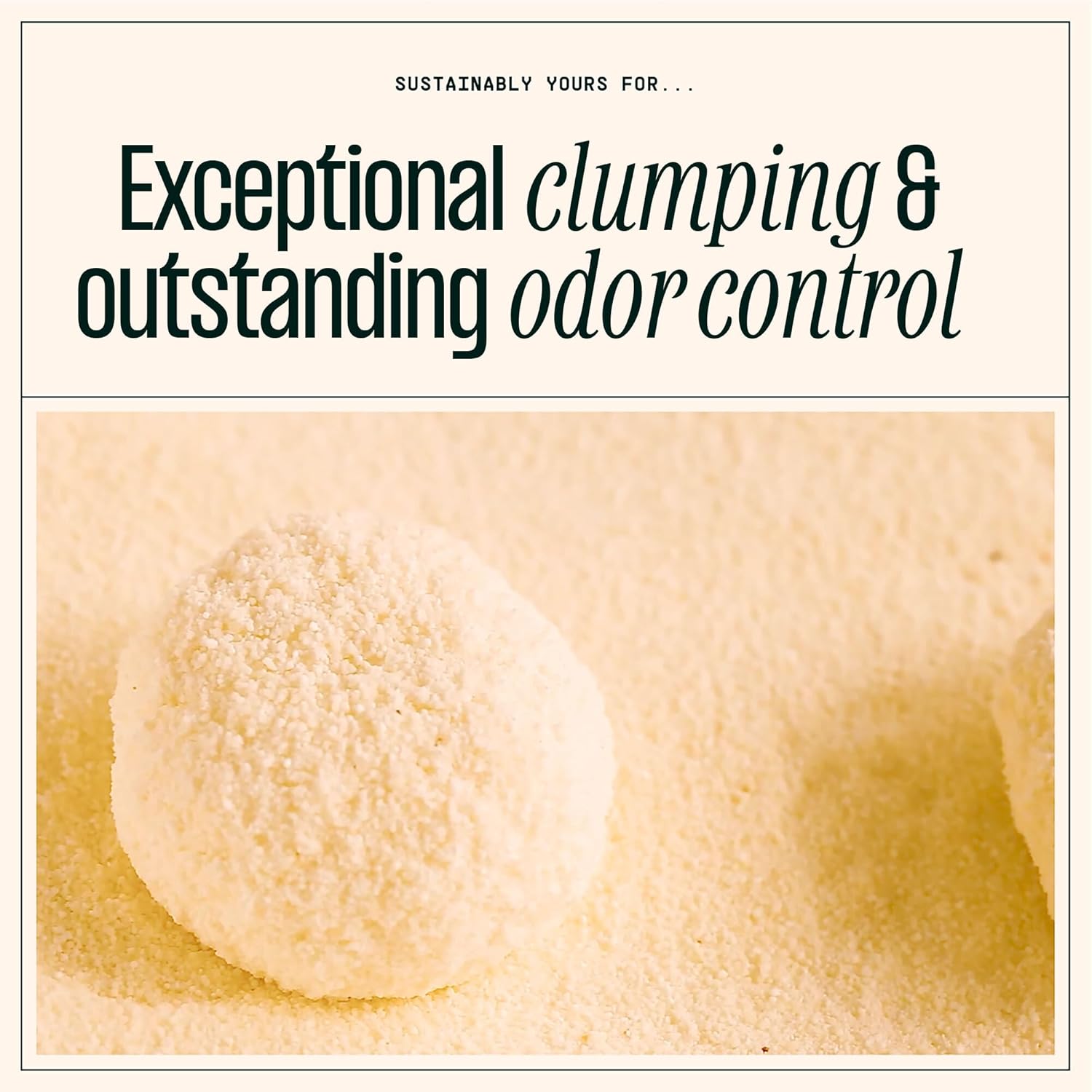 Sustainably Yours - Eco-Friendly Small-Grain Cat Litter™