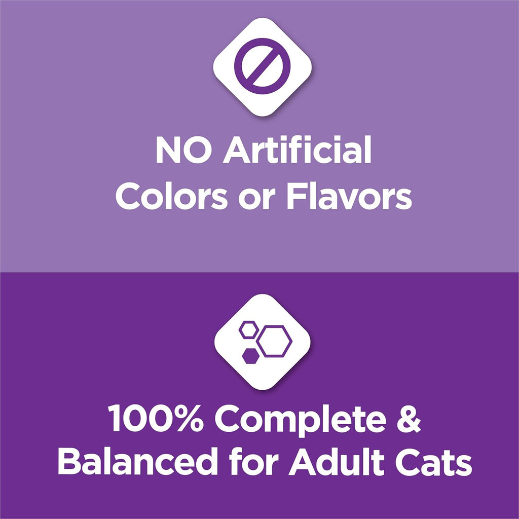 Purina Cat Chow Gentle Sensitive Stomach and Skin Dry Cat Food with Turkey - 13 lb. Bag