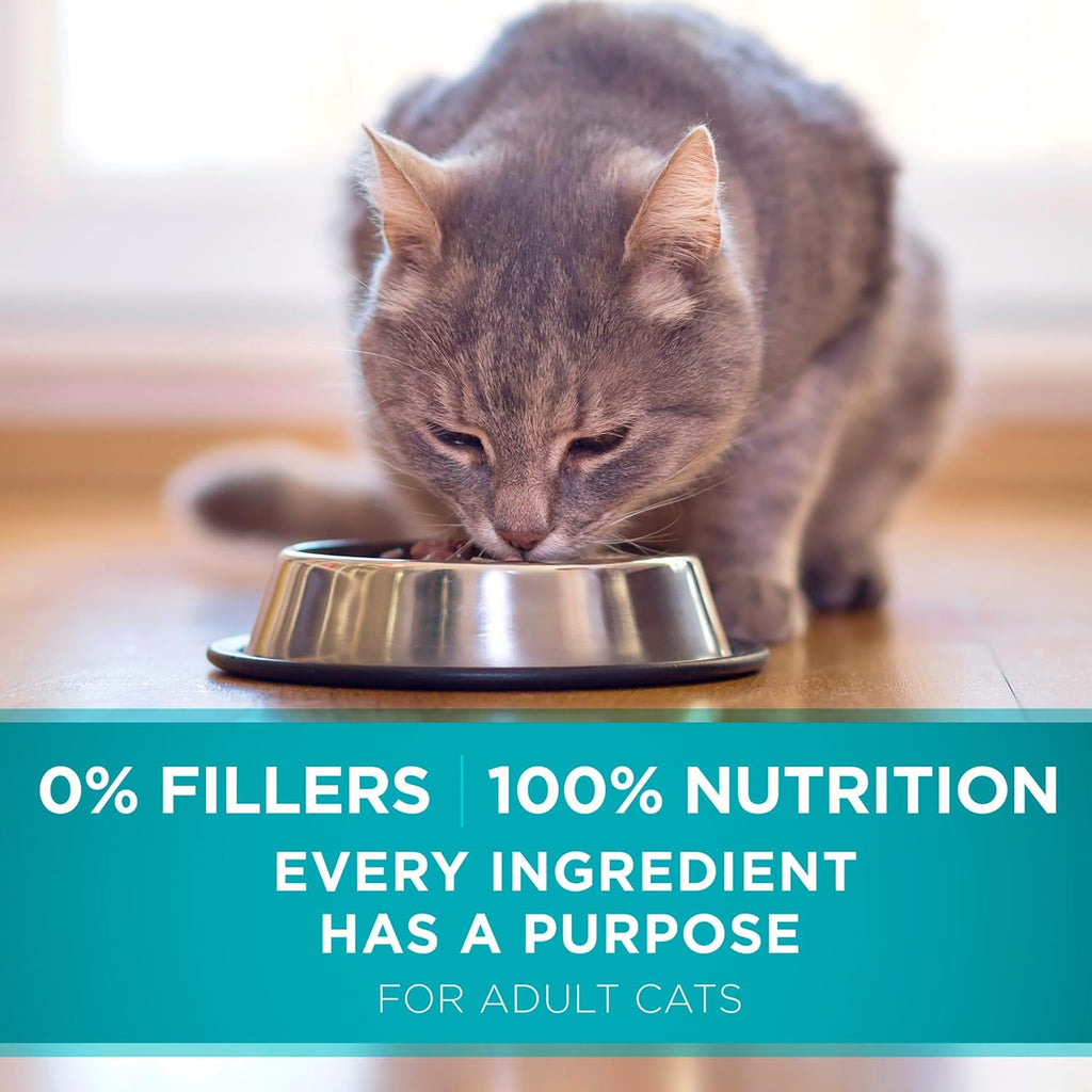 *Purina ONE Natural Dry Cat Food, Tender Selects Blend With Real Salmon - 7 lb. Bag