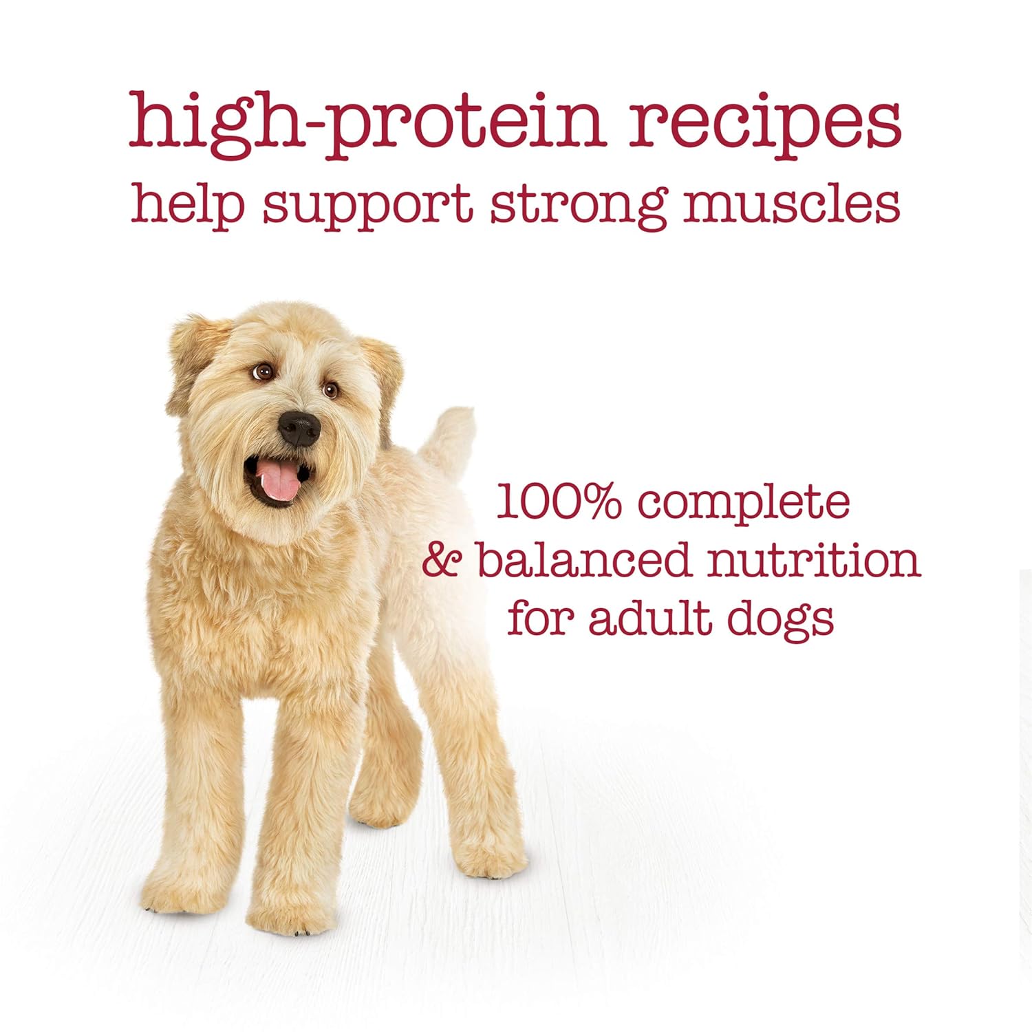 Beneful - Gourmet Medleys Wet Dog Food Variety Pack™