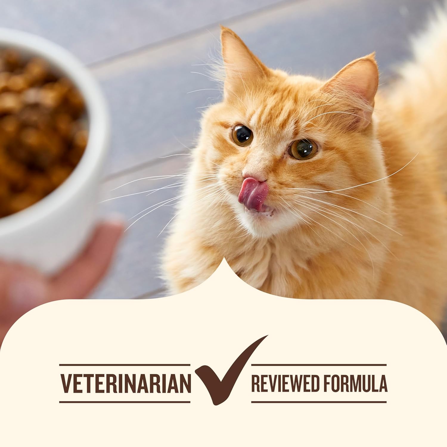 Nutrish Indoor Complete Chicken, Lentils & Salmon Recipe Dry Cat Food, 6 lb. Bag, Packaging May Vary (Rachael Ray)