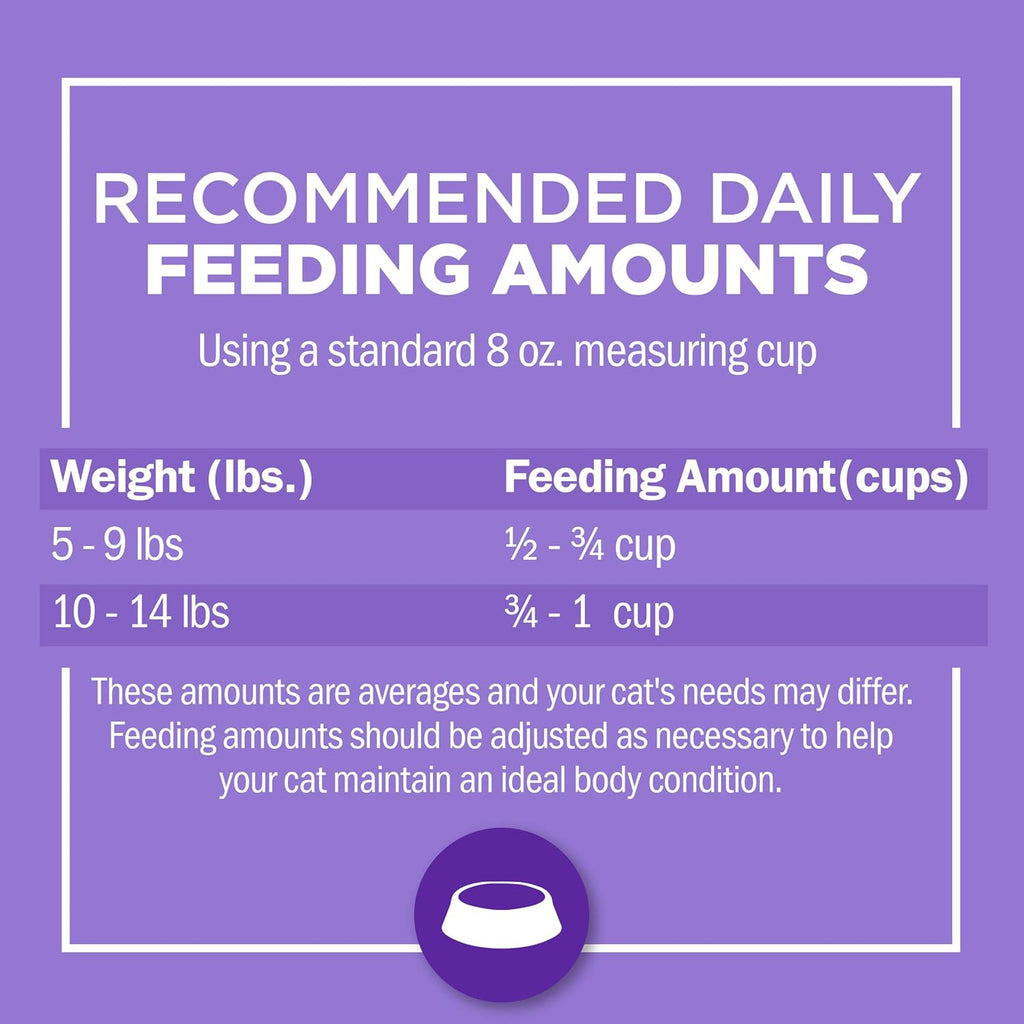 Purina Cat Chow Gentle Sensitive Stomach and Skin Dry Cat Food with Turkey - 13 lb. Bag