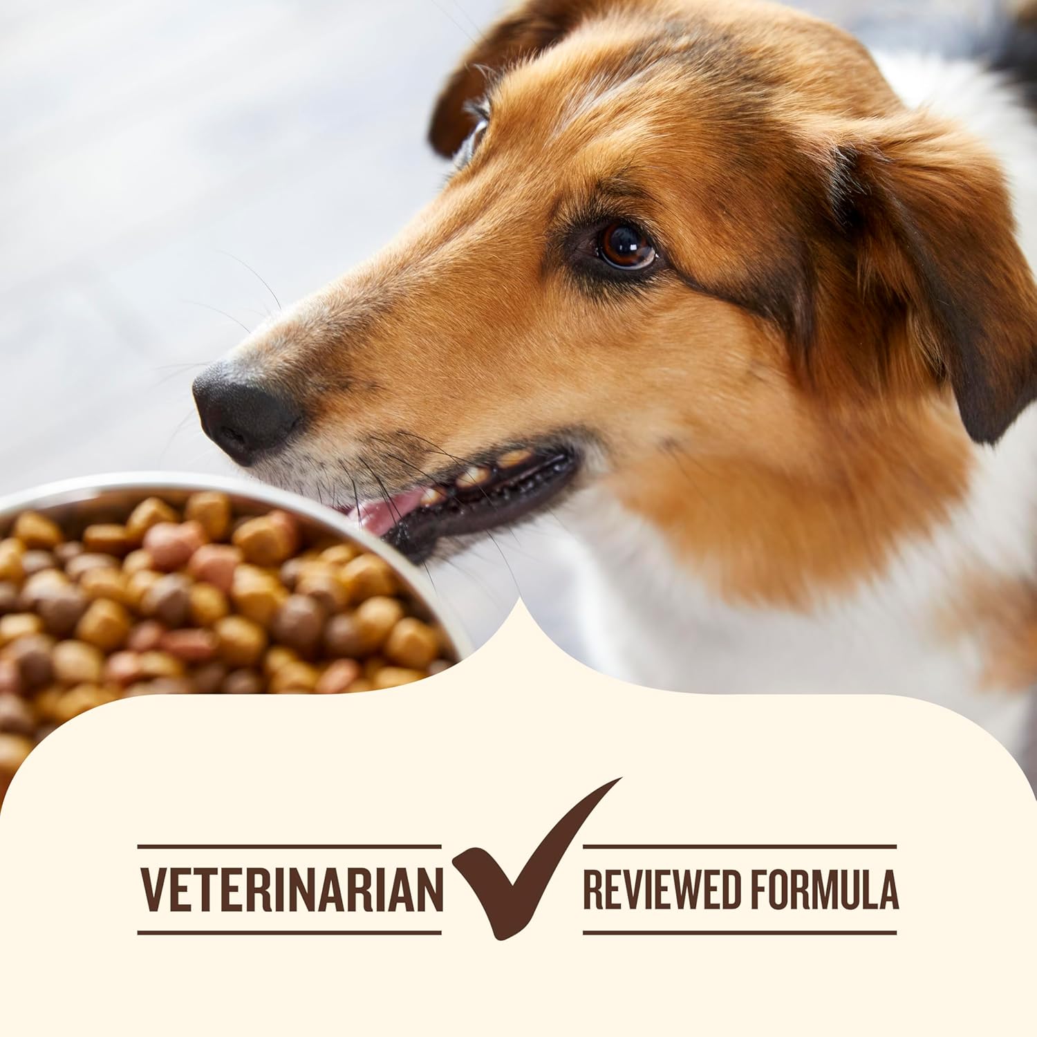 *Nutrish Dry Dog Food Real Chicken & Veggies Recipe Whole Health Blend, 40 lb. Bag, (Rachael Ray)