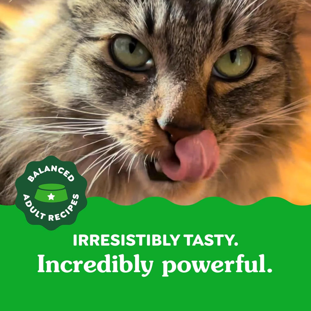 Greenies™ Feline Dental Treats – Oven Roasted Chicken Flavor™