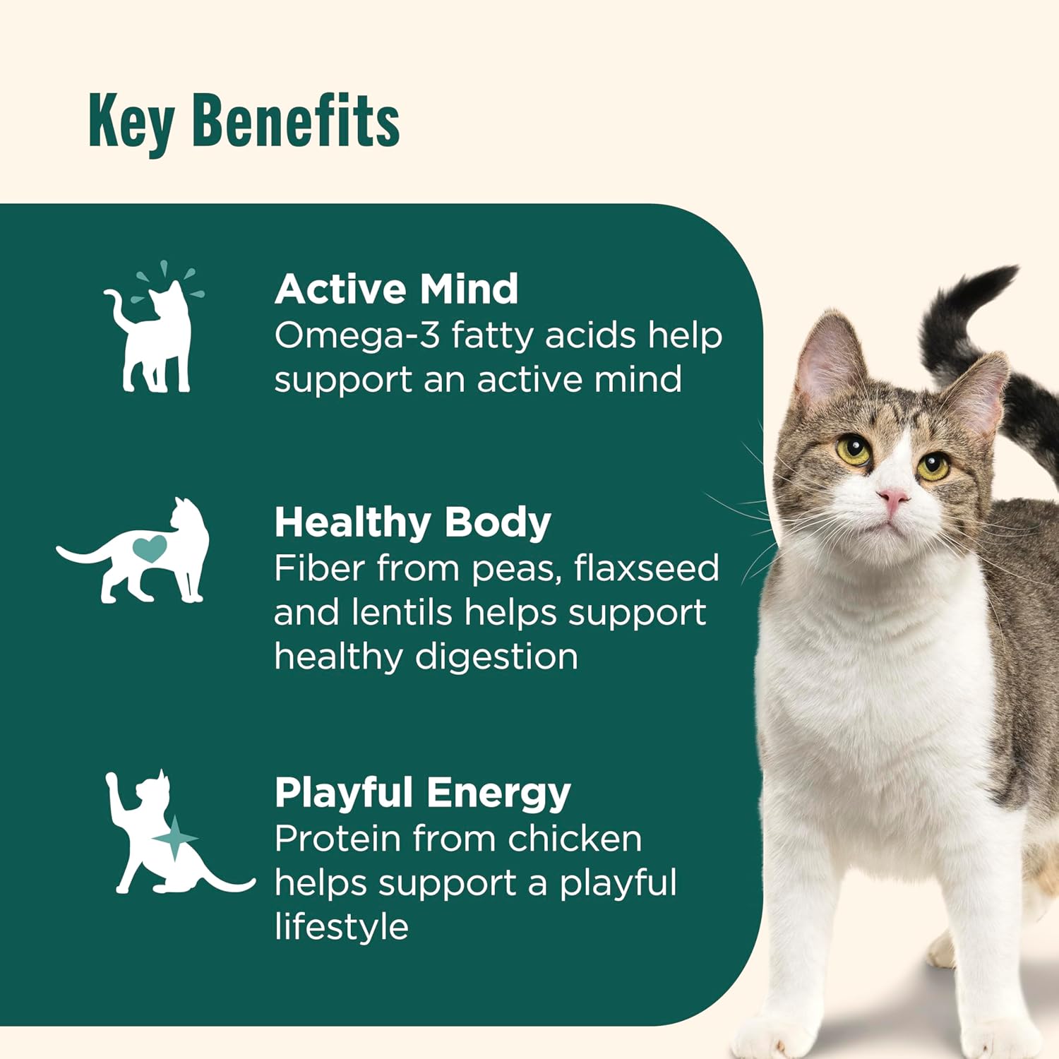 Nutrish Indoor Complete Chicken, Lentils & Salmon Recipe Dry Cat Food, 6 lb. Bag, Packaging May Vary (Rachael Ray)