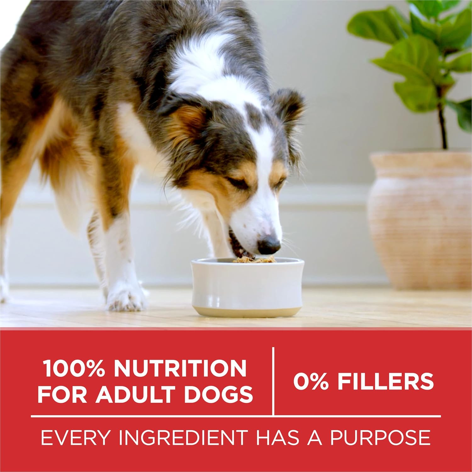 Purina One - Premium Lamb & Rice Dog Food™