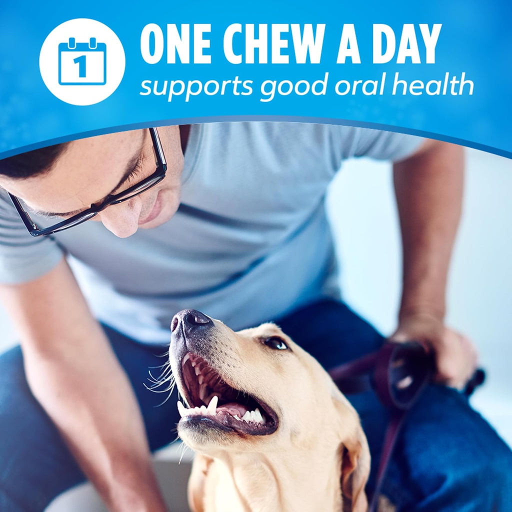 DentaLife Daily Dental Chews for Large Dogs™