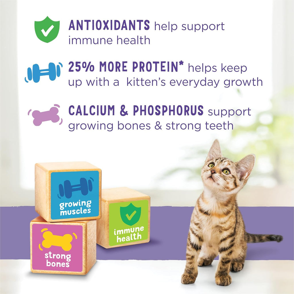 Purina Kitten Chow Dry Cat Food - Premium Kitten Nourishment™