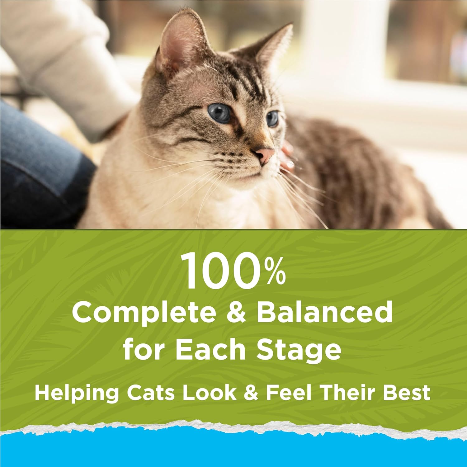 Purina Cat Chow Hairball, Healthy Weight, Indoor, Natural Dry Cat Food, Naturals Indoor - 13 lb. Bag - Premium Indoor Cat Food™