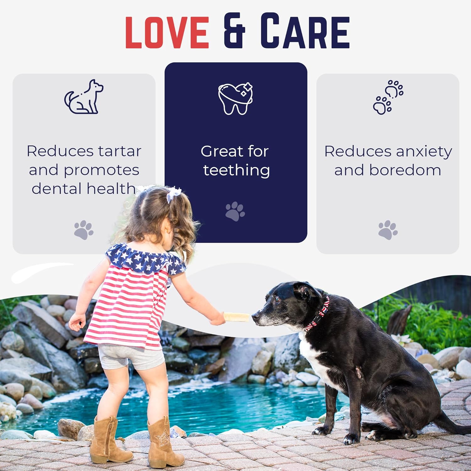 Devil Dog Pet Co. Himalayan Yak Cheese Dog Chews, Large - 1 Pack, 100% Natural & Healthy, Lactose-Free, Long-Lasting Dog Treats, Premium Yak Milk Chew Bones for Dogs