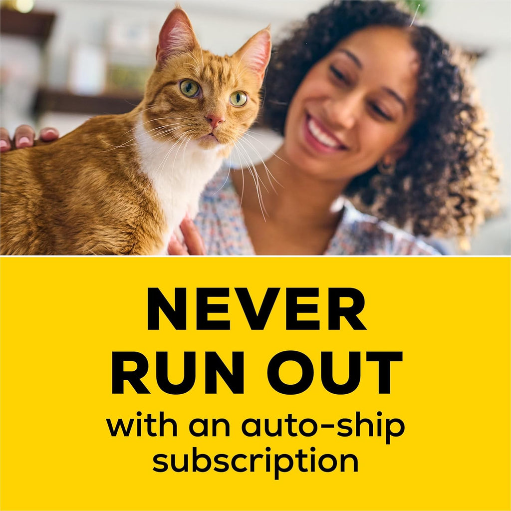 Purina Tidy Cats Non Clumping Cat Litter, 24/7 Performance Multi Cat Litter Odor Control Formula - 20 lb. Bag