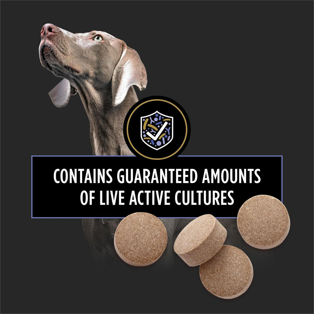 Purina Pro Plan Veterinary Supplements FortiFlora Chewable Dog Probiotic Supplement Tablets - 90 ct. Canister