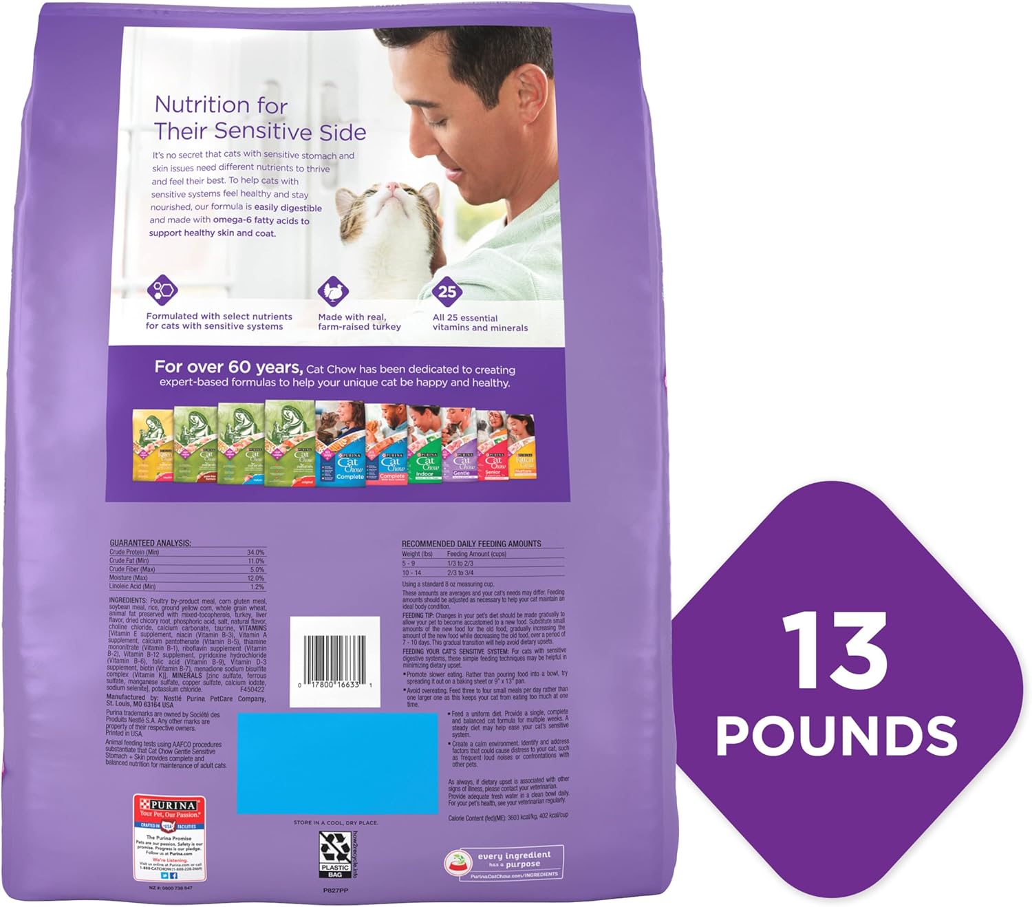 Purina Cat Chow Gentle Sensitive Stomach and Skin Dry Cat Food with Turkey - 13 lb. Bag