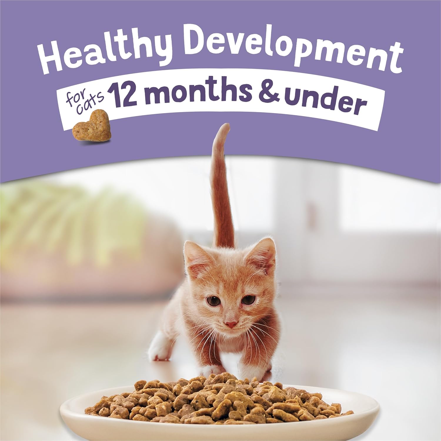 Purina Kitten Chow Dry Cat Food - Premium Kitten Nourishment™