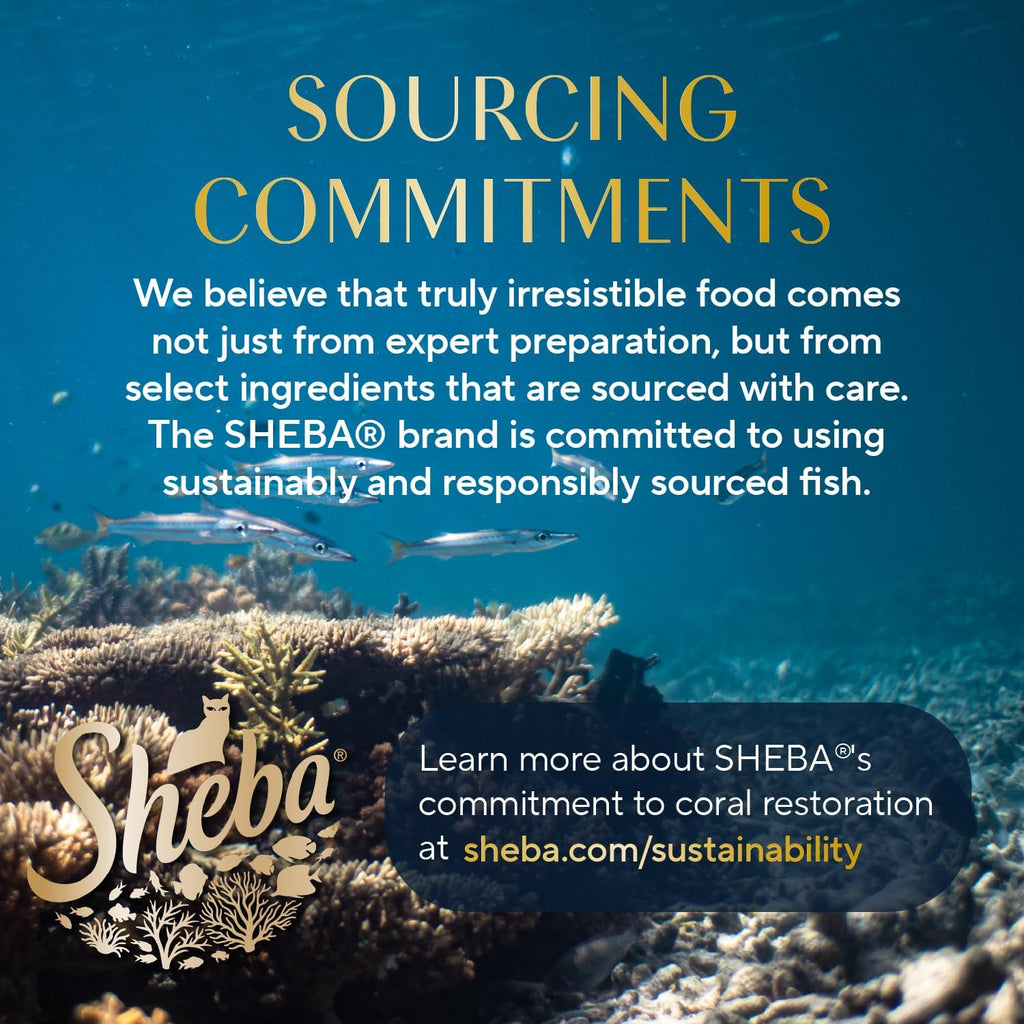 **Sheba Perfect Portions Wet Cat Food Pate with Sustainable Salmon, Signature Seafood Entree, and Tender Whitefish and Tuna Entree Variety Pack, 2.6 oz. Twin Pack Trays (24 Count, 48 Servings)