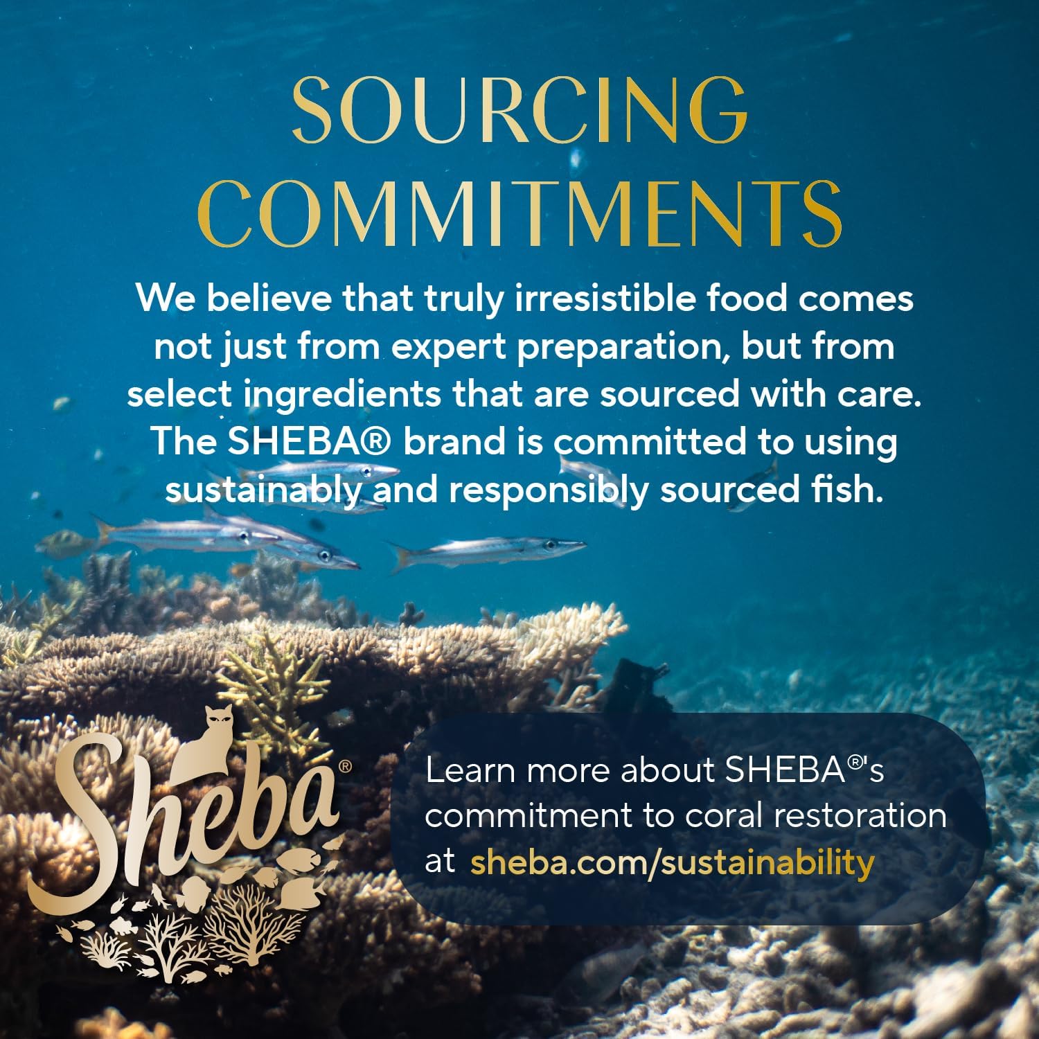 **Sheba Perfect Portions Wet Cat Food Pate with Sustainable Salmon, Signature Seafood Entree, and Tender Whitefish and Tuna Entree Variety Pack, 2.6 oz. Twin Pack Trays (24 Count, 48 Servings)