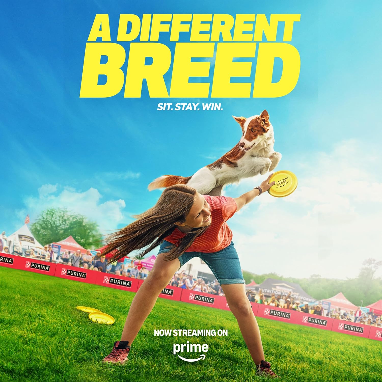 *Purina Pro Plan - Sensitive Skin & Stomach Dry Dog Food™